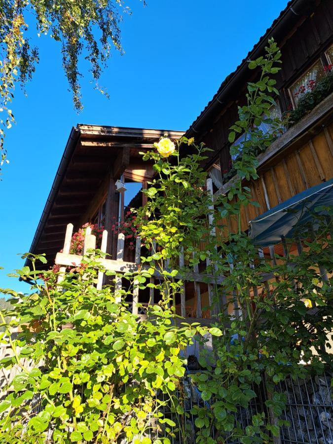 Ferienwohnung Gipfelstuermer Gunzesried Exteriér fotografie