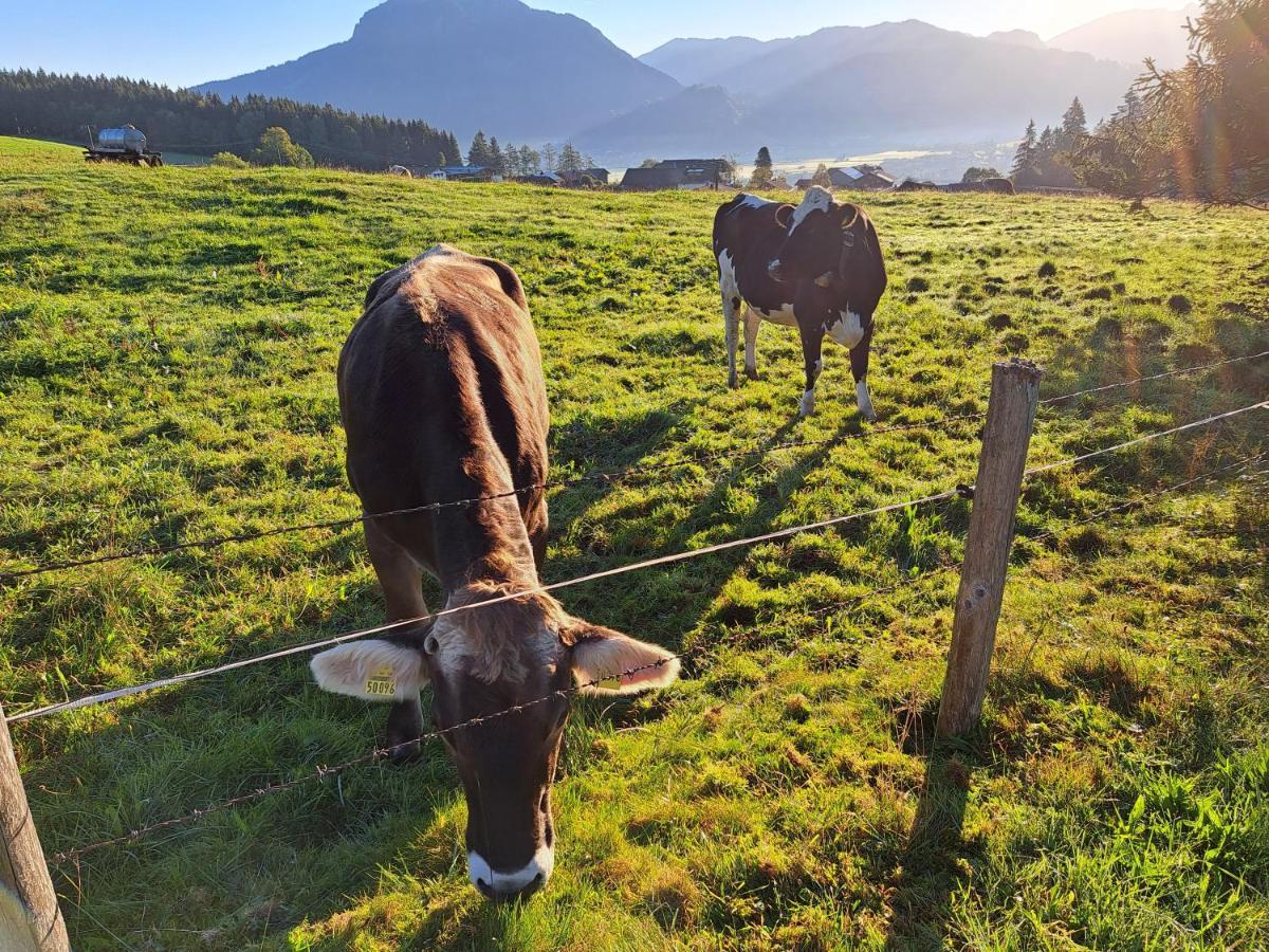 Ferienwohnung Gipfelstuermer Gunzesried Exteriér fotografie